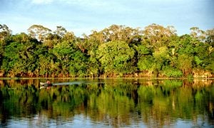 Criticado por Bolsonaro, Sínodo da Amazônia inicia preparação