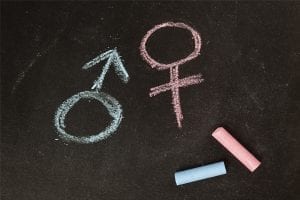 “Tirar a palavra gênero não vai suprimir o assunto na escola”