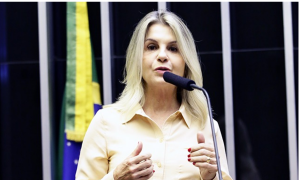 Deputada do PSL reconhece que partido usou candidaturas laranjas em 2018