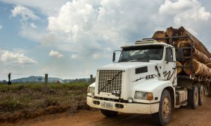Madeireiros ilegais seguem destruindo Amazônia e ameaçando assentados
