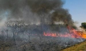 Instituições financeiras ameaçam retirar investimentos do Brasil por conta do desmatamento