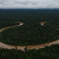 EUA anunciam nova doação de US$ 47 milhões para o Fundo Amazônia