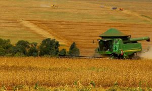EUA liberam cultivo de alimentos em áreas de preservação
