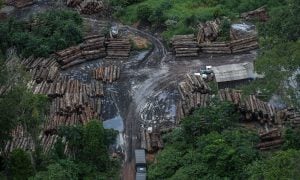 Desmatamento na Amazônia atinge maior taxa em 12 anos, mostra Inpe