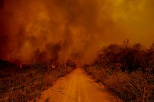 Incêndio no Pantanal. Mayke Toscano/Secom-MT