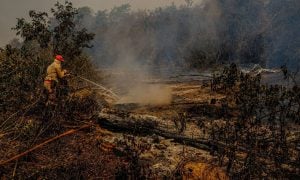 Le Monde: Descaso de Bolsonaro contribuiu para desastre do Pantanal