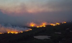 Incêndios já tomam quase metade das terras indígenas no Pantanal