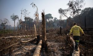 Emergência climática e a destruição da Amazônia na gestão Bolsonaro