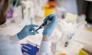 Dinamarca sacrificará milhões de visons por mutação de coronavírus que infectou humanos