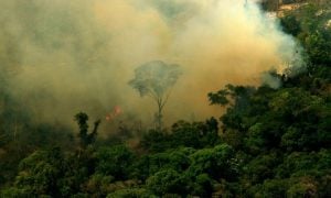 Quão próximos estamos de um colapso socioambiental na Amazônia?