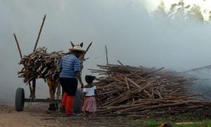 Estudos indicam aumento do trabalho infantil no Brasil