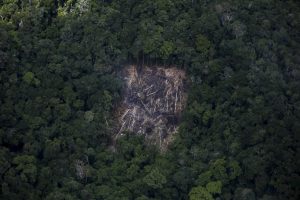 Criança morre com desnutrição grave e pneumonia na Terra Yanomami, diz liderança