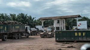 Ministério Público do Pará pede prisão de dono da Brasil Biofuels (BBF) por tortura