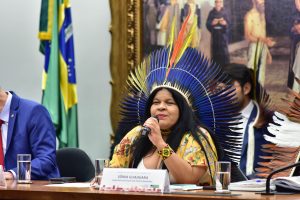 Só restam os garimpeiros ligados ao narcotráfico na Terra Indígena Yanomami, diz ministra Sonia Guajajara