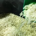 Juiz não vê ‘perigo concreto de desabastecimento’ e suspende leilão para compra de arroz importado