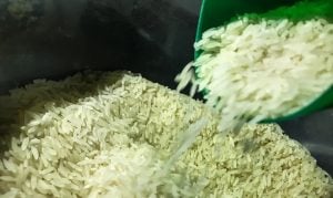 Juiz não vê ‘perigo concreto’ e suspende leilão para compra de arroz importado