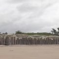 Justiça proíbe o governo de PE de derrubar muro que dificulta acesso a praia em Maracaípe